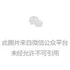 直面自然 游情写意