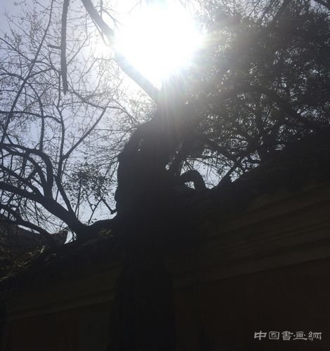 江南访梅｜从吴湖帆“梅景书屋图”看历代文人赏梅、写梅